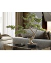 SOKAN - BONSAI 81CM